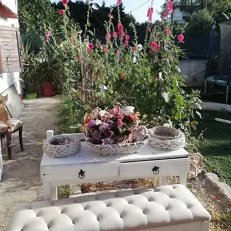 Hannah's House 10 Min From Athens Airport Chalet Artemi